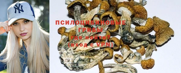 бошки Абаза