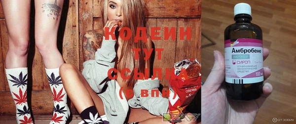 бошки Абаза