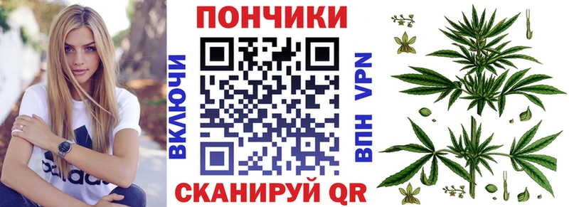 как найти закладки  Котовск  Шишки марихуана индика 